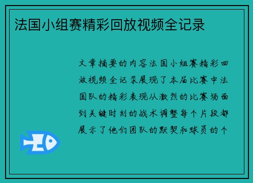 法国小组赛精彩回放视频全记录